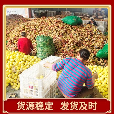 一级精选四川安岳柠檬鲜果批发 当季新鲜水果 产地直发黄柠檬代发图3