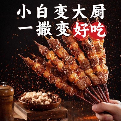 烧烤料炸串撒料烤肉蘸料餐饮烧烤店烤牛羊肉串调料250g袋装烧烤料图4