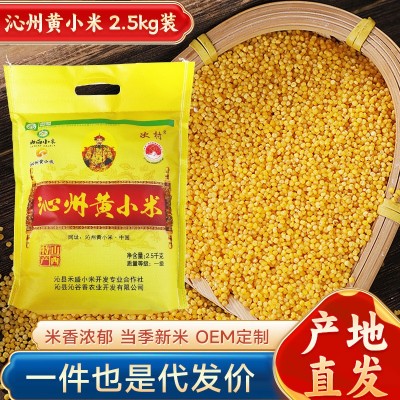 山西原厂地次村牌沁州黄小米5斤袋装农家小米粥营养月子餐黄小米