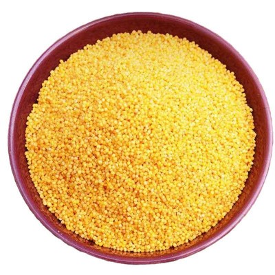 山西原厂地次村牌沁州黄小米5斤袋装农家小米粥营养月子餐黄小米图4