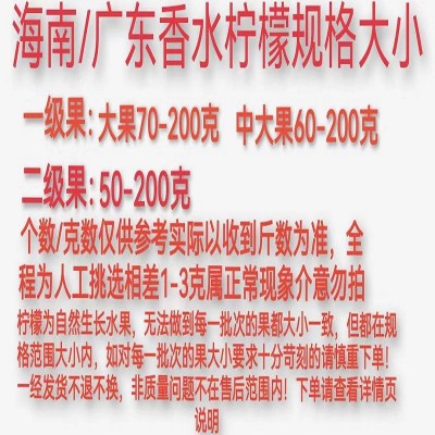广东香水柠檬无籽青柠檬热带新鲜水果一级海南柠檬批发奶茶店专用图5
