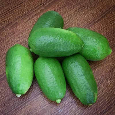 广东香水柠檬无籽青柠檬热带新鲜水果一级海南柠檬批发奶茶店专用图2