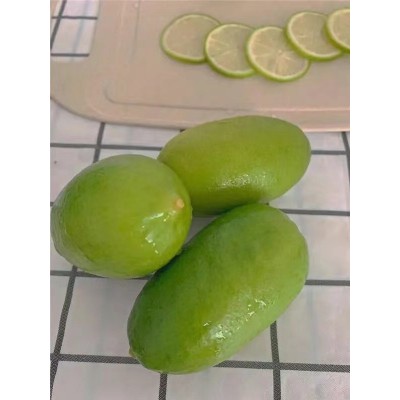 广东香水柠檬无籽青柠檬热带新鲜水果海南柠檬批发奶茶店一件代发图2