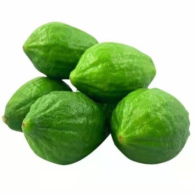 广东香水柠檬无籽青柠檬热带新鲜水果海南柠檬批发奶茶店一件代发