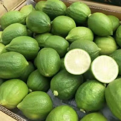 广东香水柠檬无籽青柠檬热带新鲜水果海南柠檬批发奶茶店一件代发图4
