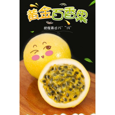 新鲜广西钦蜜黄金百香果大果热带孕妇水果黄皮果鸡蛋果整箱批发