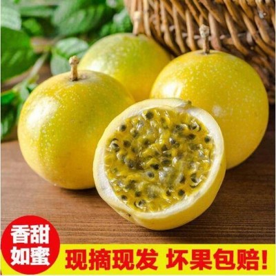 新鲜广西钦蜜黄金百香果大果热带孕妇水果黄皮果鸡蛋果整箱批发图3