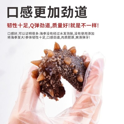 即食海参批发辽刺参工厂非干货口感劲道即食辽刺海参工厂一件代发