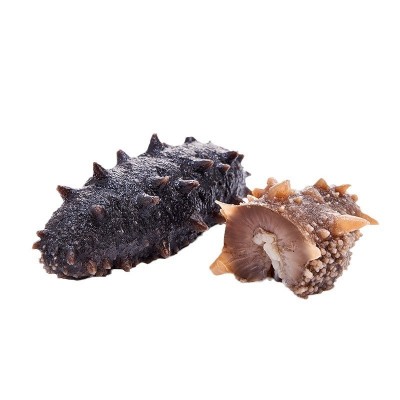 即食海参批发辽刺参工厂非干货口感劲道即食辽刺海参工厂一件代发图4