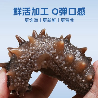 即食海参工厂大连辽参礼盒装代发 刺参鲜食非干参送礼高品质厂家