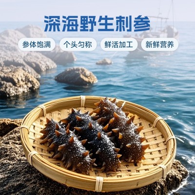 即食海参工厂大连辽参礼盒装代发 刺参鲜食非干参送礼高品质厂家图3