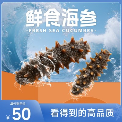 即食海参工厂大连辽参礼盒装代发 刺参鲜食非干参送礼高品质厂家图2