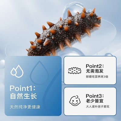 即食海参工厂大连辽参礼盒装代发 刺参鲜食非干参送礼高品质厂家图4