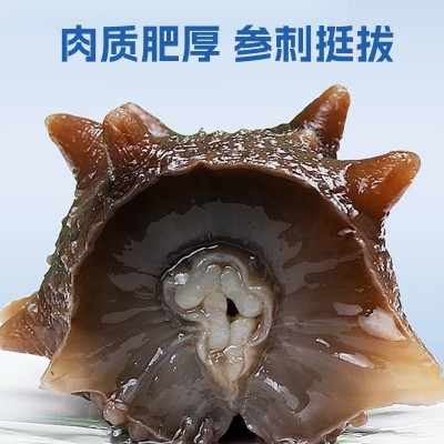 即食海参工厂大连辽参礼盒装代发 刺参鲜食非干参送礼高品质厂家图5