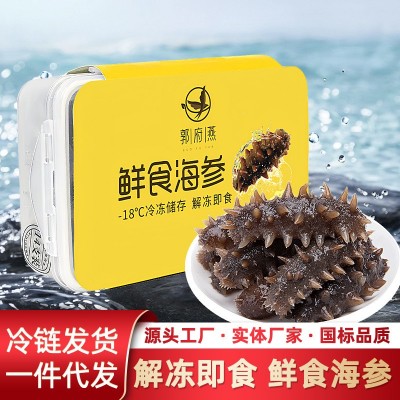 鲜食海参批发大连辽参刺参工厂代发450g礼盒装冷链直达一件代发