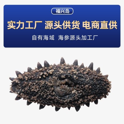 大连福兴岛海参工厂批发大连特产大连海参淡干海参干货一件代发图2