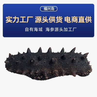 大连福兴岛大连淡干海参海参干货辽刺参辽参工厂一手货源图2