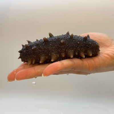 大连福兴岛大连淡干海参海参干货辽刺参辽参工厂一手货源图3