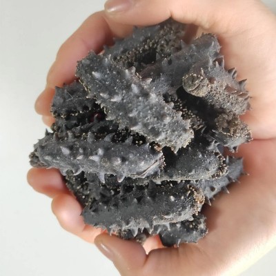 大连福兴岛大连淡干海参海参干货辽刺参辽参工厂一手货源图5