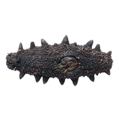 福兴岛大连淡干海参辽参辽刺参海参干货海参工厂一手货源图4