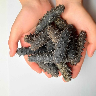 福兴岛大连淡干海参辽参辽刺参海参干货海参工厂一手货源图3