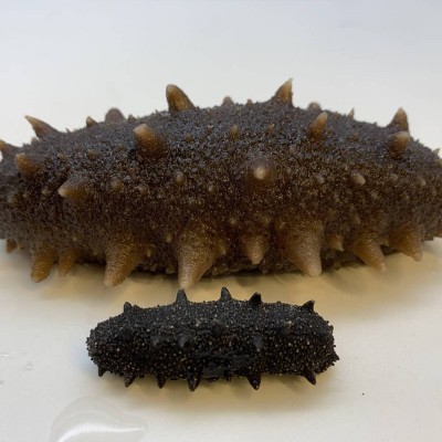 福兴岛大连淡干海参辽参辽刺参海参干货海参工厂一手货源图2