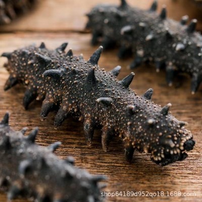 工厂直供淡干小海参深海辽刺参非即食海参礼盒干货批发