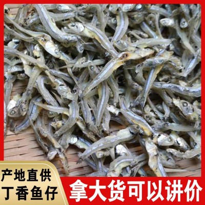 小鱼仔干500g白凡鱼干丁香鱼子海鱼仔干货跑江湖地摊海燕鱼干批发