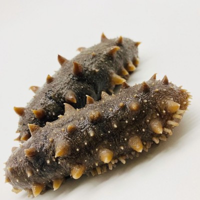 包邮干货批发大连即食海参新鲜底播辽参独立包装袋即食海参刺参图2