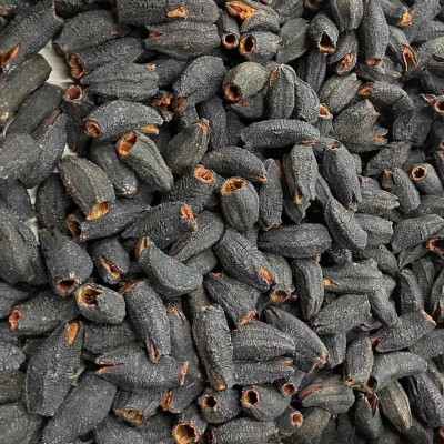 厂家批发口感好即食淡干海参工厂代发加拿大即食红极参干货500克图3