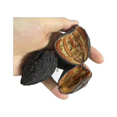 厂家批发口感好即食淡干海参工厂代发加拿大即食红极参干货500克图5