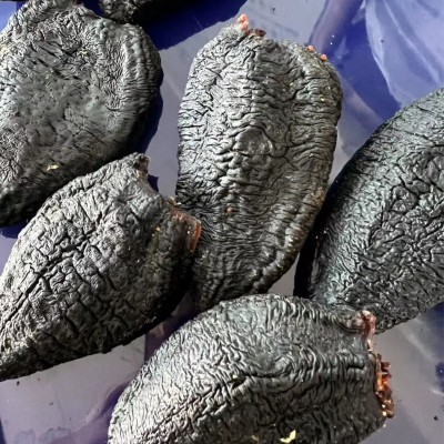 厂家批发口感好即食淡干海参工厂代发加拿大即食红极参干货500克图4