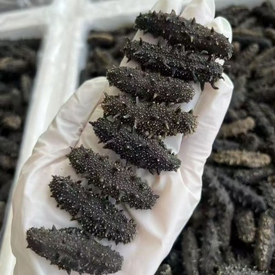 源头厂家批发淡干海参鲜食刺参辽参高刺参肉质饱满淡干海参干货图2