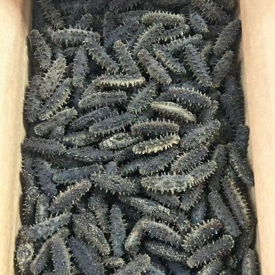 源头厂家批发淡干海参鲜食刺参辽参高刺参肉质饱满淡干海参干货图3