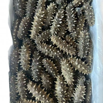 源头厂家批发淡干海参鲜食刺参辽参高刺参肉质饱满淡干海参干货图5