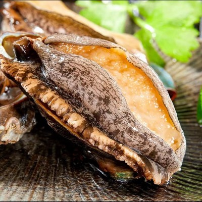 带壳鲍鱼干FD鲍鱼干冻干鲍鱼干货批发海参鲍鱼散装干货礼盒装批发图3