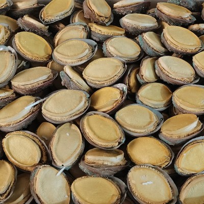 带壳鲍鱼干FD鲍鱼干冻干鲍鱼干货批发海参鲍鱼散装干货礼盒装批发图2