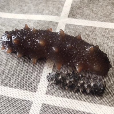 源头厂家批发淡干海参鲜食刺参辽参高刺参肉质饱满淡干小海参干货图2