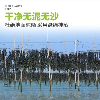 福建霞浦干海带5斤日晒海带干货商用非特级厚海带丝头片煲汤凉拌图3