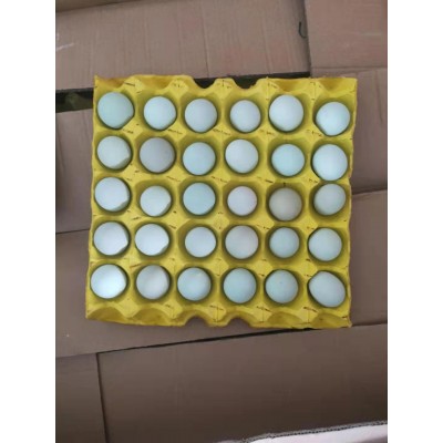 绿壳乌鸡蛋，480枚/箱，净重39-40斤，日捡日发图3