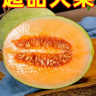 正宗海南哈密瓜10斤新鲜水果疆西州蜜瓜25号老汉瓜一整箱网纹甜瓜图4
