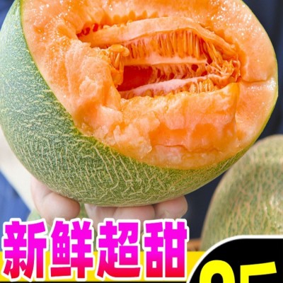 正宗海南哈密瓜10斤新鲜水果疆西州蜜瓜25号老汉瓜一整箱网纹甜瓜