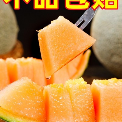 正宗海南哈密瓜10斤新鲜水果疆西州蜜瓜25号老汉瓜一整箱网纹甜瓜图5