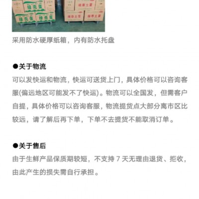 【中号】新杨绿壳蛋翡翠绿420枚/毛重43斤-44斤鸡场直销图5