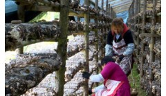 让农业合作的种子结出硕果