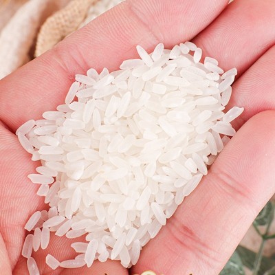 批发东北大米新米稻花香长粒米家用米饭煮粥一斤真空包装一件代发图3
