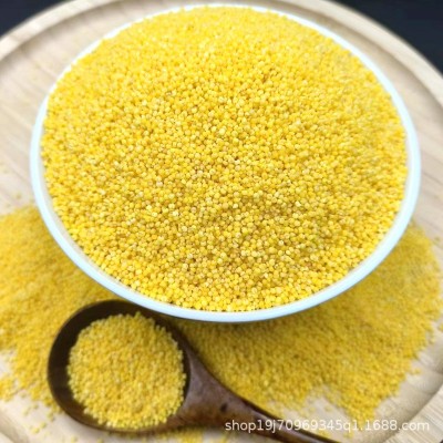 真空装新鲜小黄米赤峰黄小米早餐粥米月子粥原料粘糯粗粮五谷杂粮图3