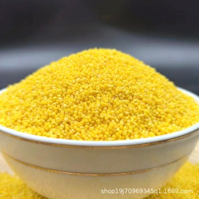 真空装新鲜小黄米赤峰黄小米早餐粥米月子粥原料粘糯粗粮五谷杂粮图4