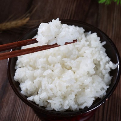 五常甄选稻香米2024年新米20斤东北大米家用米软香米香五常大米图4