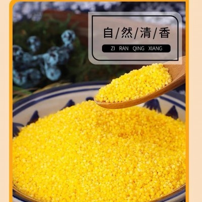 东北黄小米2.5kg真空装 黑龙江小黄米粥2024新米东北农家熬出米油图3